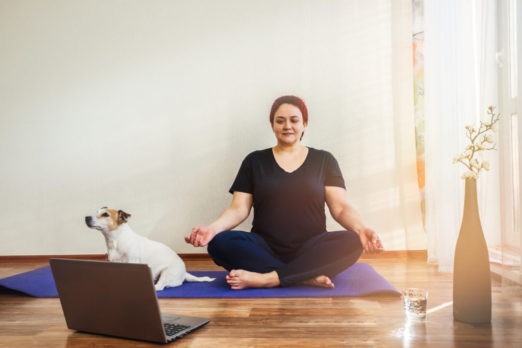 Adult girl with a dog Jack Russell practice online yoga lesson at home during quarantine isolation during the coronavirus pandemic.