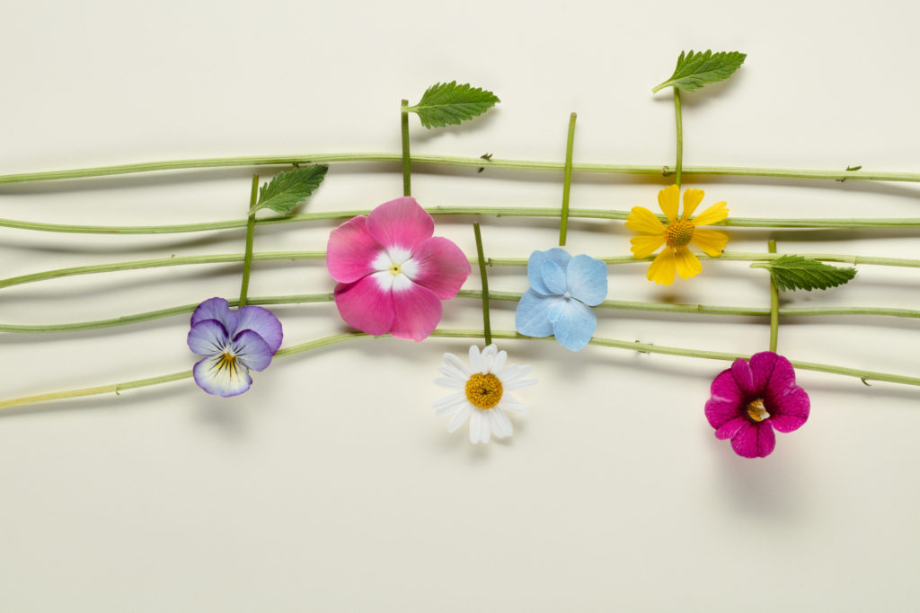 Music notes of flowers on paper