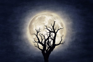 Moon over dry tree silhouette. Elements of this image furnished by NASA