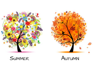 Artistically drawn trees on in Summer and one in Autumn 